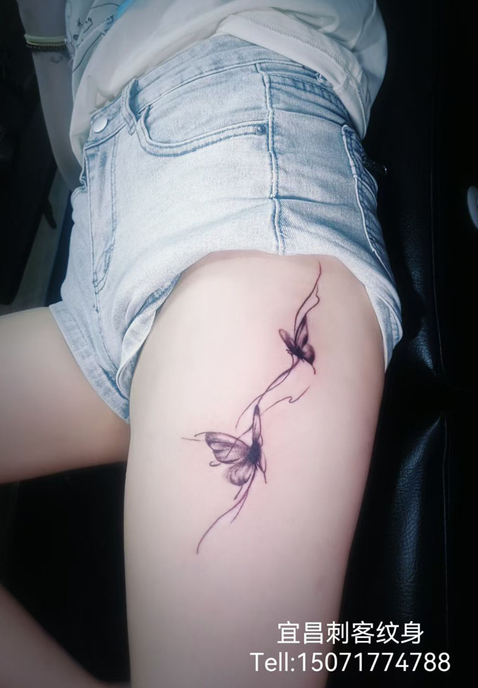 �Ȳ���������